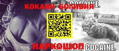 крисы Гатчина