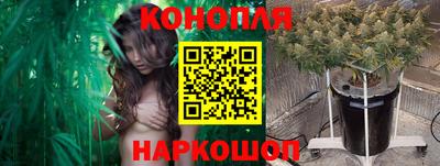 крисы Гатчина