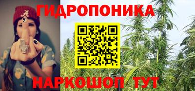 дживик Гай