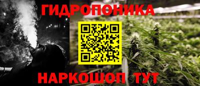 крисы Гатчина